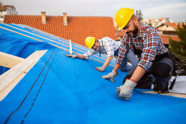 Roof Waterproofing Services in Tellico Plains, TN