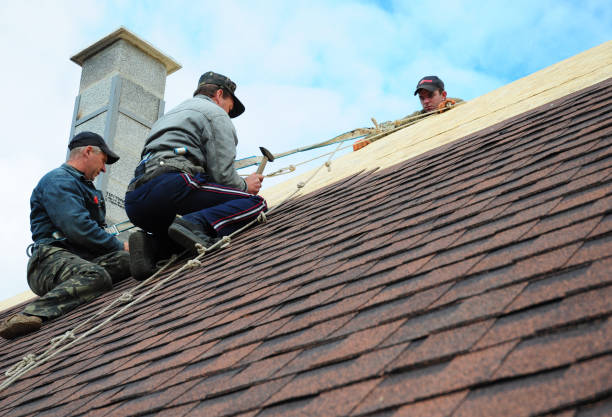 Best Metal Roofing Contractor  in Tellico Plains, TN