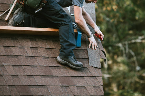 Best Roofing Contractor Near Me  in Tellico Plains, TN